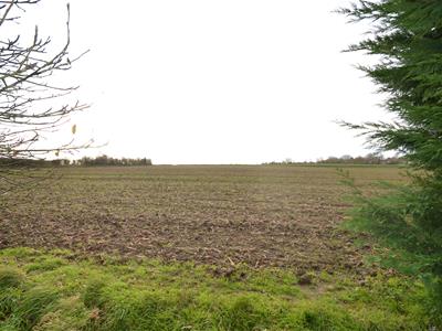 Picture 13